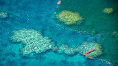 Soustava útesů, které se táhnou podél pobřeží Queenslandu, je přes 2000 kilometrů dlouhá a tvoří ji asi 600 ostrovů.