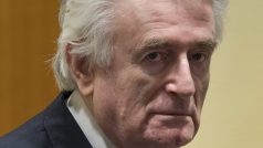 Radovan Karadžić byl obžalován z válečných zločinů a genocidy v Bosně v první polovině 90. let