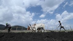 Etiopští farmáři v oblasti Bišoftu na snímku z července.