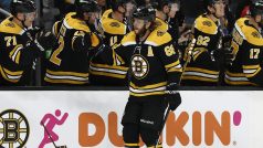 Hráči Bostonu Bruins gratulují Davidu Pastrňákovi k 40. zásahu v sezoně