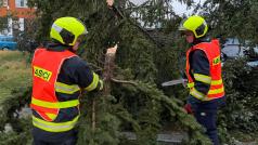 Pražští hasiči zasahovali také na pražském Braníku, kde stromy popadaly na zaparkovaná auta. Nikomu se nic nestalo.