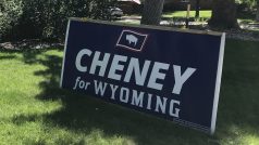 „Volila jsem proti naší současné kongresmance Liz Cheneyové, protože už nereprezentuje obyvatele Wyomingu,“ říká mi Nancy