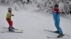 Lyžování, škola lyžování, učení se lyžování, učit se lyžovat (ilustrační foto)