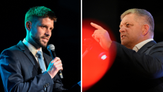 Michal Šimečka vs. Robert Fico