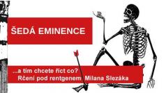 Rčení pod rentgenem Milana Slezáka: Šedá eminence.