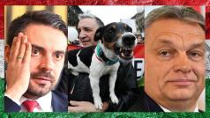 Maďarsko tuto neděli čekají parlamentní volby. Favoritem je osvědčená strana Fidesz premiéra Viktora Orbána (vpravo), druhé místo drží opoziční, dříve krajně pravicový Jobbik s lídrem Gáborem Vonou (vlevo). Politická scéna v Maďarsku má i svoji satirickou stránku, kterou představuje recesistická Maďarská strana dvouocasého psa (MKKP, snímek uprostřed). MKKP, jež se otevřeně vysmívá Orbánově politice, se letošních voleb účastní také.