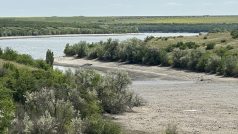 Žije – nebo spíš žil – tady sumec, karas, tolstolobik nebo cejn