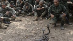 Součástí cvičení je i trénink na zacházení s nebezpečnými hady