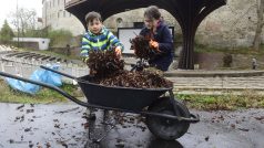 Spolek Letní kino Olomouc uspořádal úklid areálu kina