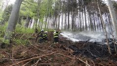 Hořet začalo po poledni a požár se podařilo dostat pod kontrolu okolo 18.00