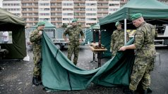 Po příjezdu na stanoviště volič stáhne okénko svého vozu, předloží občanský průkaz a voják ho vyzve, aby si na chvíli stáhl roušku kvůli identifikaci. Poté mu předá hlasovací obálku a případně volební lístky, pokud je nebude mít s sebou. Volič za zástěnou připraví volební lístek, který hodí do přinesené volební urny.