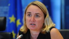 Zvláštní zmocněnkyně ministra zahraničí pro podporu Čechů do institucí EU Jana Hybášková