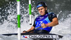 Václav Chaloupka