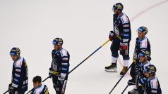 Hokejisté HC Bílí Tygři Liberec