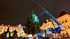 Technici usadili vánoční smrk na Staroměstské náměstí v Praze