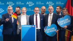 Vedení krajně pravicové Alternativy pro Německo (AfD)