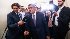 Andrej Babiš u soudu v Kauze Čapí hnízdo