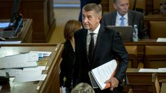 Premiér a šéf hnutí ANO Andrej Babiš