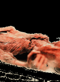 Ötzi