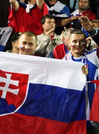 Fotbal Slovensko - Česko (2:2)