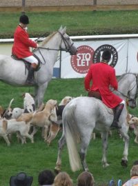 Velká pardubická 2009