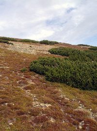 Krkonoše jsou oblíbenou destinací v zimě i v létě