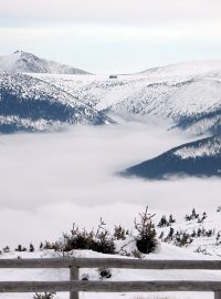 Hřebeny v Krkonoších, na pozadí Sněžka