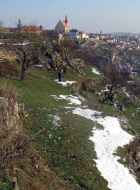 Pohled na znojmo z teras se stromy starých odrůd