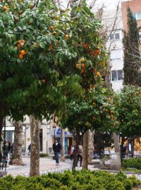 Granada. Na první pohled to nevypadá, že by se kousek odsud dalo výtečně lyžovat