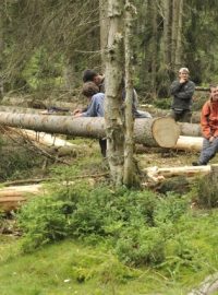 Ekologičtí aktivisté blokují lokalitu Ptačí potok u šumavské Modravy, aby zabránili kácení kůrovcem napadených stromů.