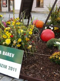 Flora Olomouc - podzim 2011