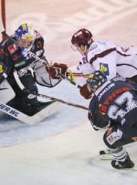 Bílí Tygři Liberec versus HC Sparta Praha