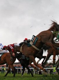 Velkou národní Steeplechase i letos nepřežili dva koně