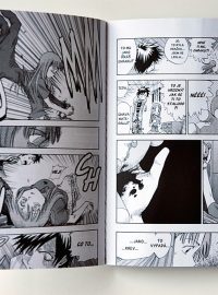 Z komiksu Bleach 1: The Death And The Strawberry