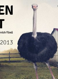 Jeden svět - festival dokumentárních filmů o lidských právech, ročník 2013