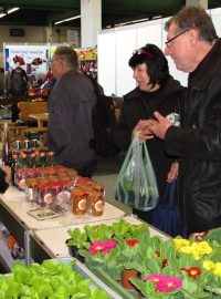 Zahradnické trhy v Lysé nad Labem