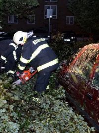 Bouře 29. 7. 2013 na Chrudimsku: Hasiči ve Stromovce