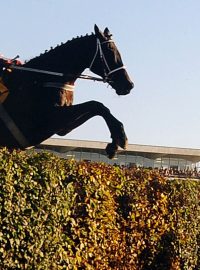 123. Velká pardubická, žokej Josef Váňa, Velký Taxisův příkop