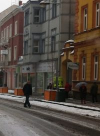 Na ulicích Děčína se objevily stromy v kontejnerech