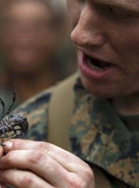 Cobra Gold 2014 - Vojáci musí přežít tři dny jen na přírodních zdrojích, jedí proto i škorpióny