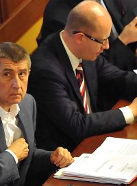 Poslanecká sněmovna 10.6.2014, Andrej Babiš