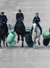 Ukázka činnosti jízdního oddílu Městské policie Ostrava v historických uniformách