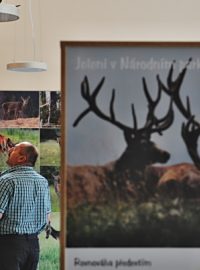 Nové návštěvnické centrum Kvilda nabízí naučný okruh o životě jelenů a výběh, který je představuje v jejich přirozeném prostředí