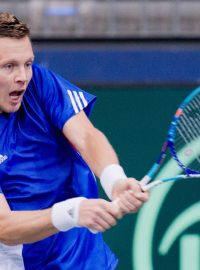 Tomáš Berdych v daviscupovém utkání proti Mischovi Zverevovi