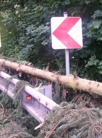 Hasiči v Proseči nad Nisou na Jablonecku polámané stromy odstranili ze silnic. Během dalších dní je odvezou