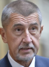 Ministr financí a šéf hnutí ANO Andrej Babiš