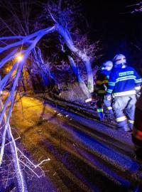 Hasiči v Královéhradeckém kraji odstraňují popadané stromy