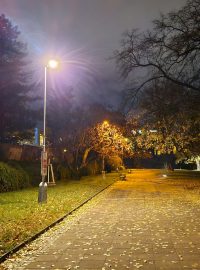 Brňané můžou v parku Lužánky otestovat nové lampy veřejného osvětlení