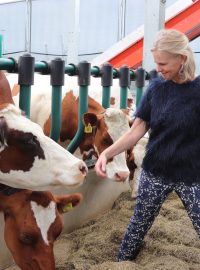 Zemědělcům v Královéhradeckém kraji vadí nízké výkupní ceny mléka a to, že ji nedokáží ovlivnit