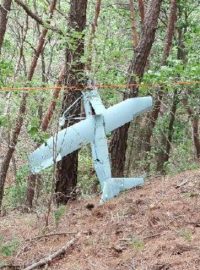 Snímek bezpilotního letadélka, které jihokorejská armáda identifikovala jako severokorejský dron. Stroj uvízl mezi stromy na území Jihu, nedaleko demilitarizovaného pásma mezi oběma Korejemi. Fotografii zveřejnilo jihokorejské ministerstvo obrany.